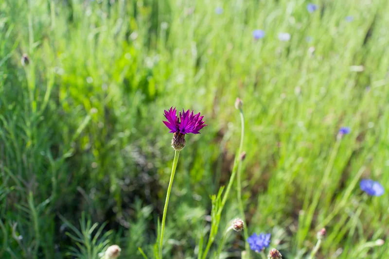 Photo from 2024 Boise album - Image 1