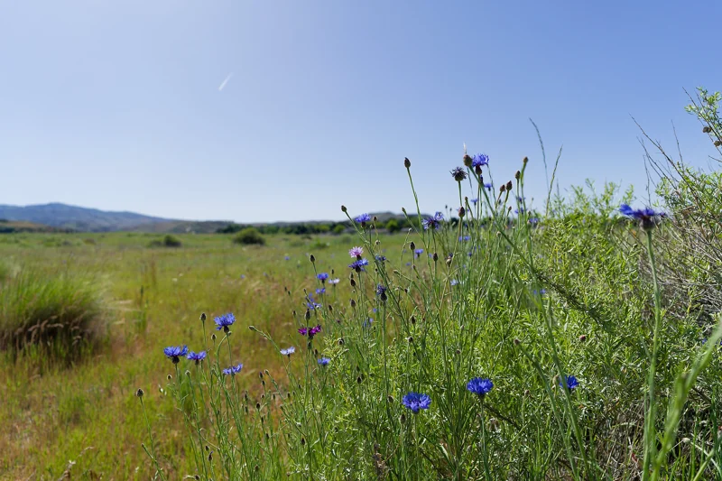 Photo from 2024 Boise album - Image 2