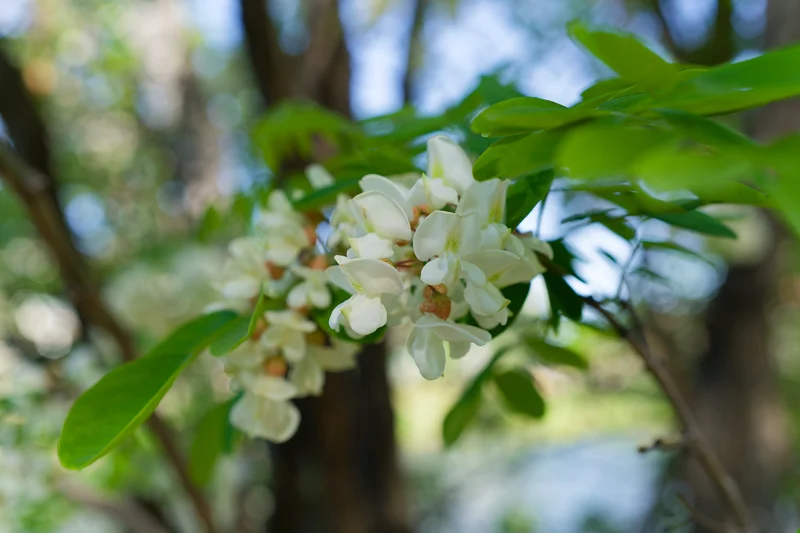 Photo from 2024 Boise album - Image 3