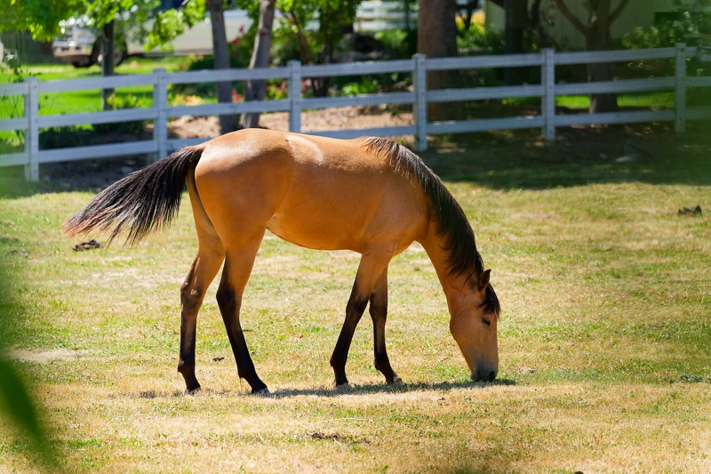 Photo from 2024 Boise album - Image 5