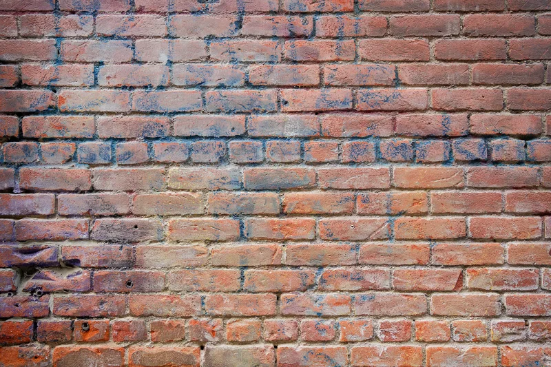 Photo from 2024 Boise album - Image 7