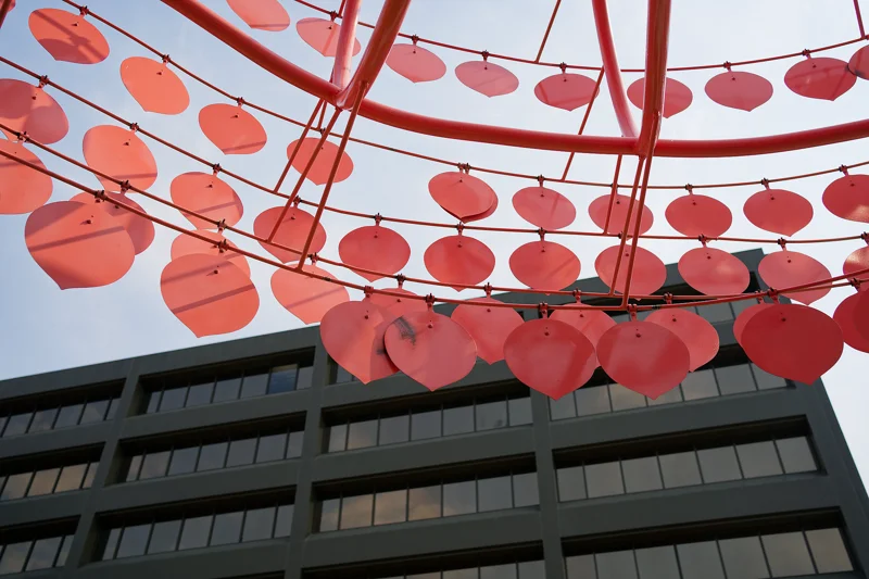 Photo from 2024 Boise album - Image 8