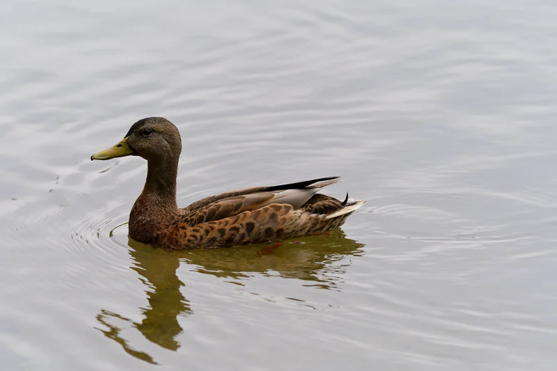 Photo from 2024 Boise album - Image 11