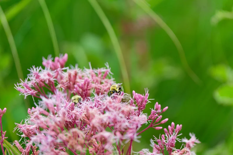 Photo from 2024 Boise album - Image 18