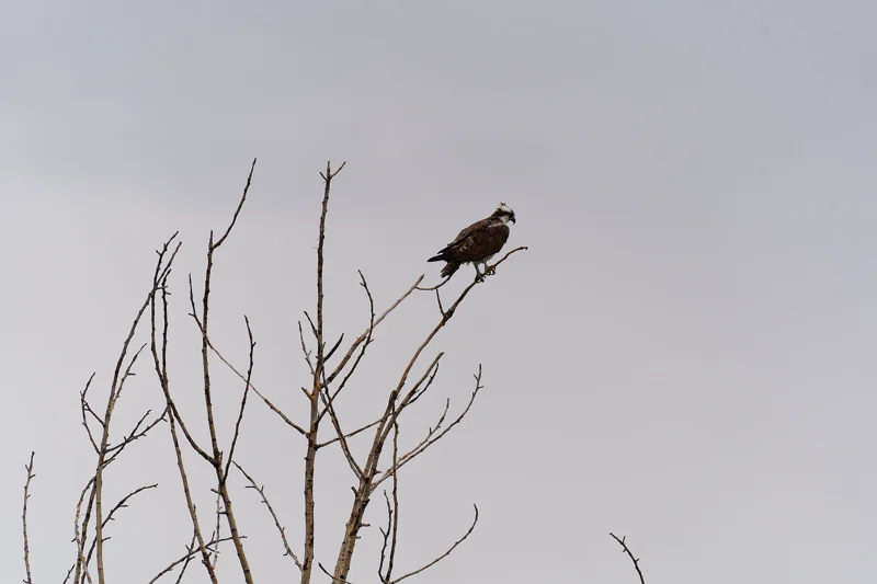 Photo from 2024 Boise album - Image 21