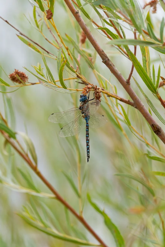 Photo from 2024 Boise album - Image 22