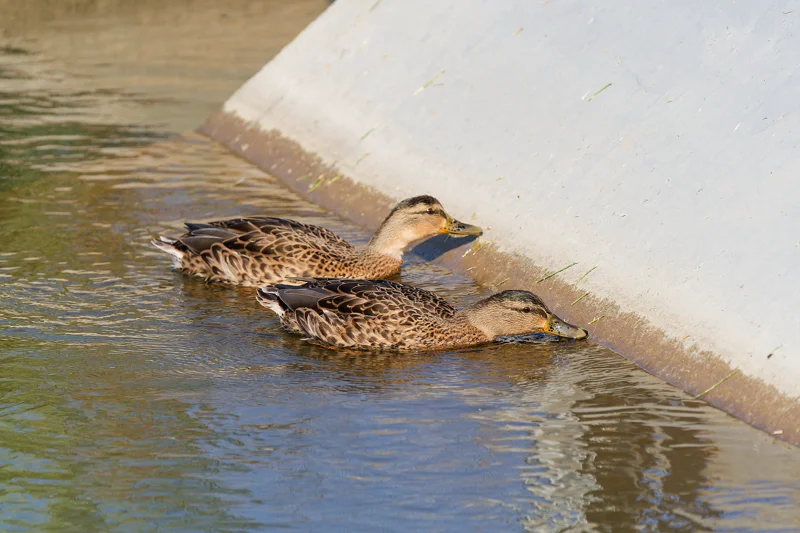 Photo from 2024 Boise album - Image 23