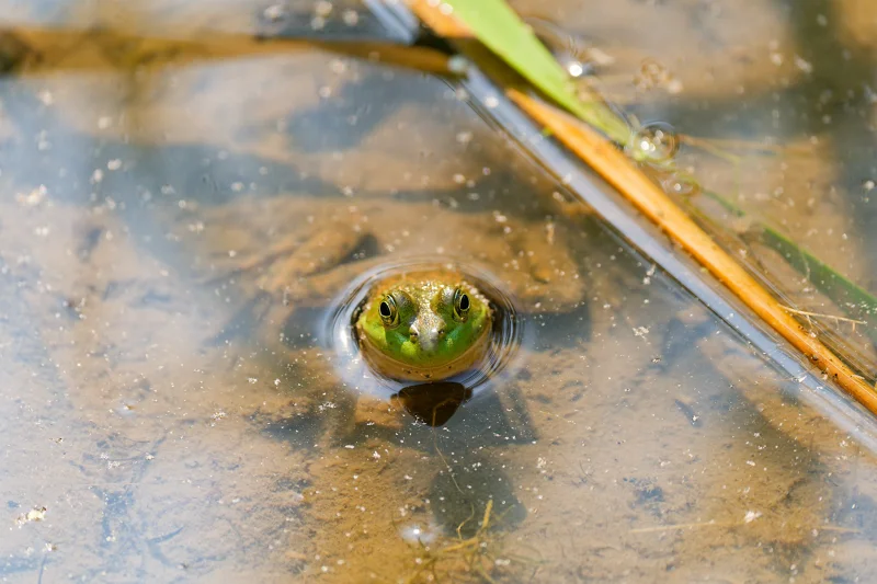 Photo from 2024 Boise album - Image 25