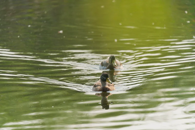 Photo from 2024 Boise album - Image 31