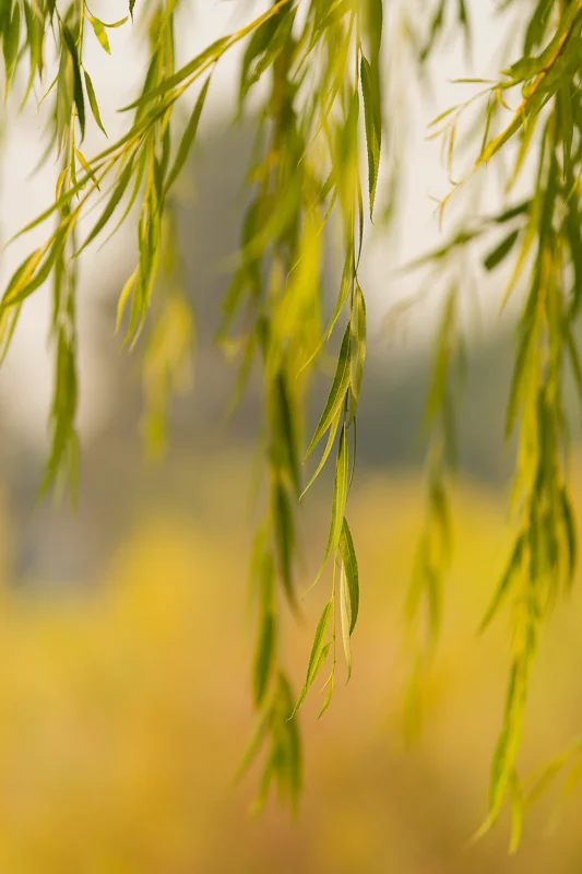 Photo from 2024 Boise album - Image 32