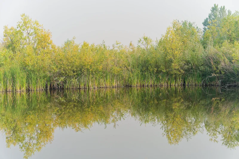 Photo from 2024 Boise album - Image 33