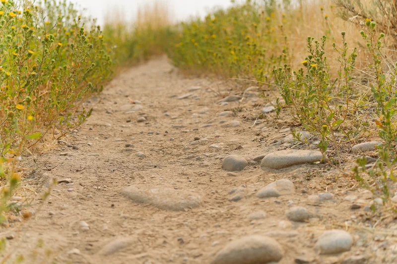 Photo from 2024 Boise album - Image 35