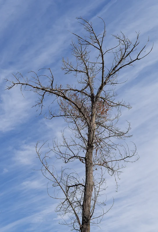 Photo from 2024 Boise album - Image 36