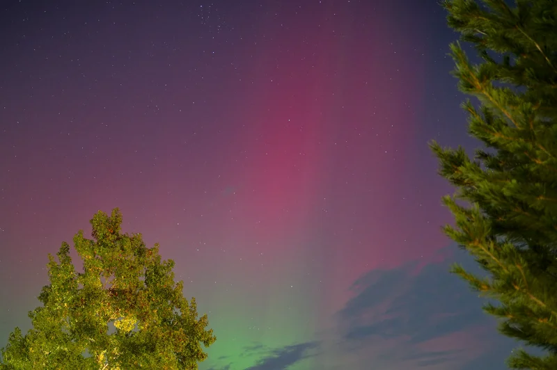 Photo from 2024 Boise album - Image 38