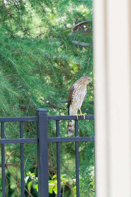 Photo from 2024 Boise album - Image 39