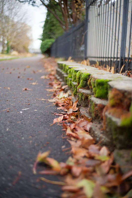 Photo from 2024 Boise album - Image 42