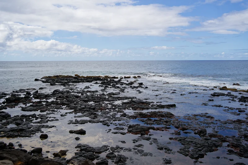 Photo from 2024 Kauai album - Image 2