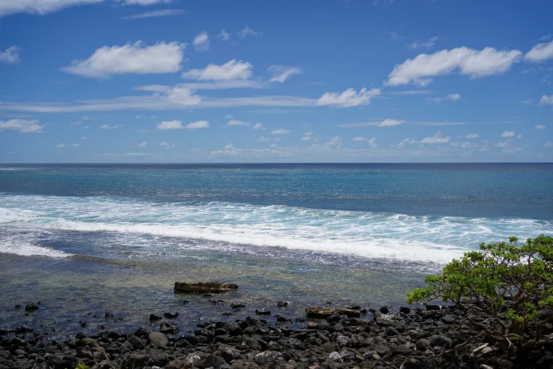 Photo from 2024 Kauai album - Image 4