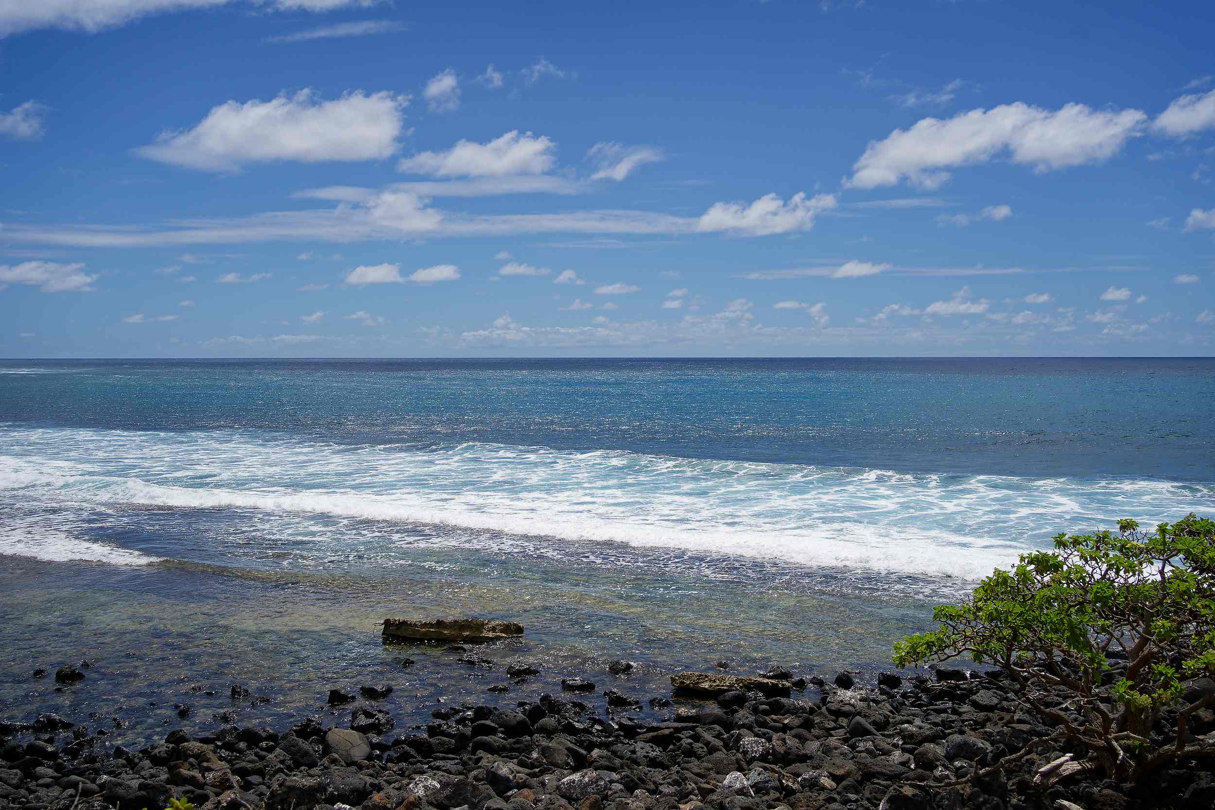 Kauai Hawaii Photography 2024 - Tropical Landscapes & Wildlife