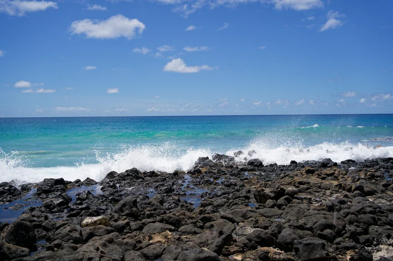 Photo from 2024 Kauai album - Image 7