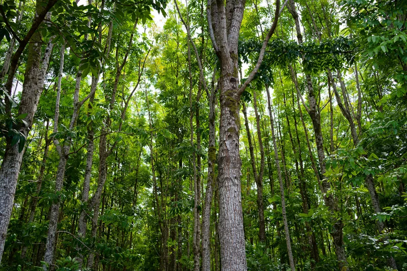 Photo from 2024 Kauai album - Image 8