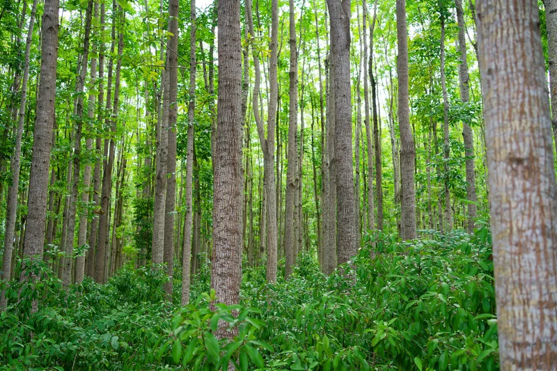 Photo from 2024 Kauai album - Image 9