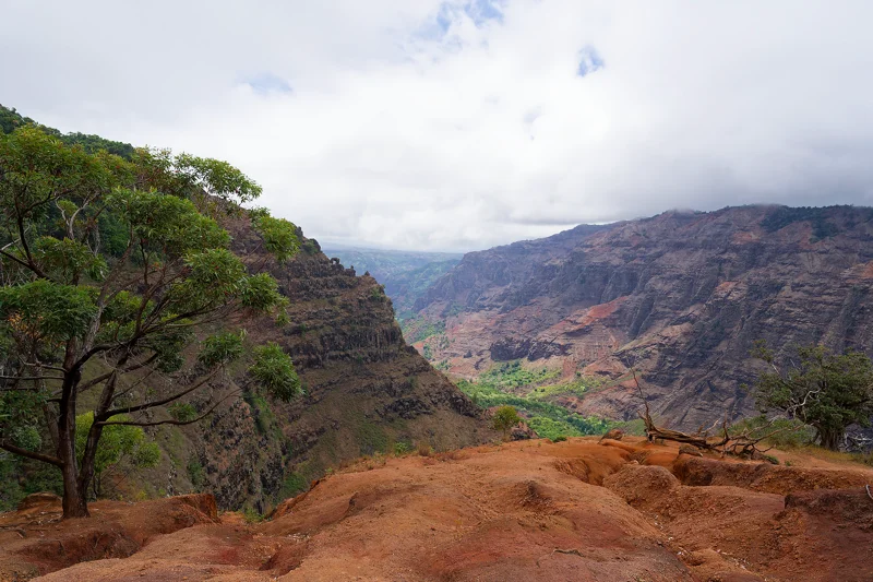 Photo from 2024 Kauai album - Image 13