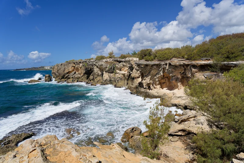 Photo from 2024 Kauai album - Image 20