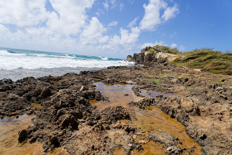 Photo from 2024 Kauai album - Image 23