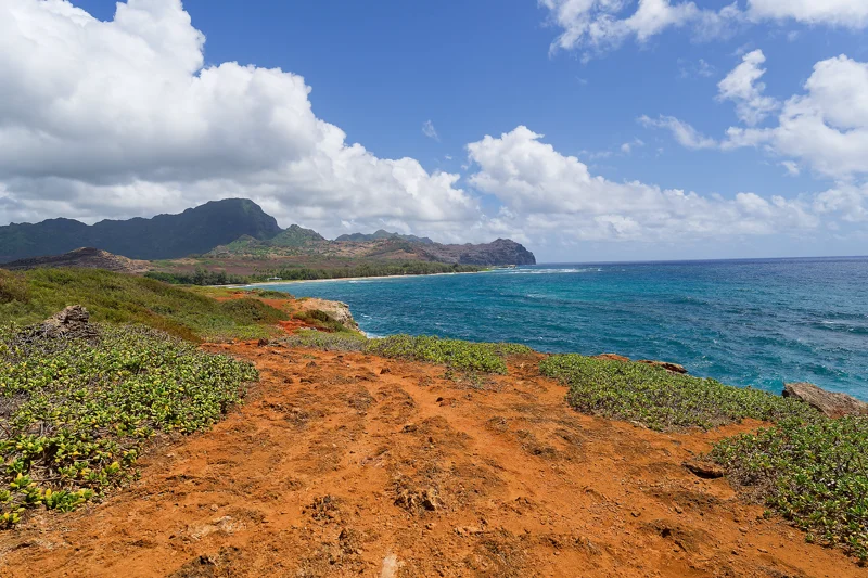 Photo from 2024 Kauai album - Image 27