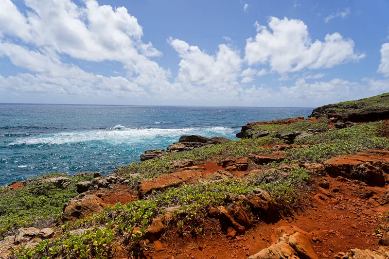 Photo from 2024 Kauai album - Image 28