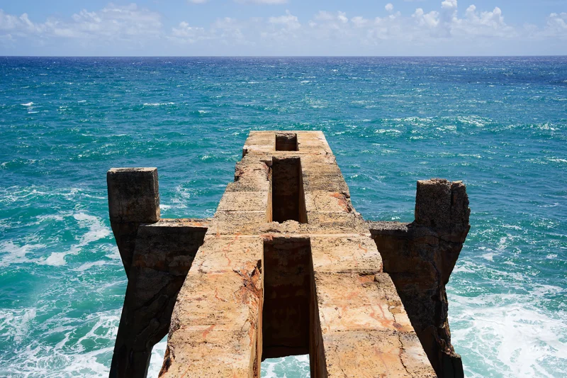 Kauai Hawaii Photography 2024 - Tropical Landscapes & Wildlife