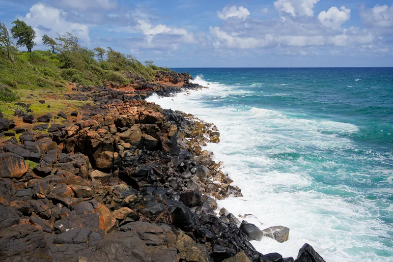 Photo from 2024 Kauai album - Image 34