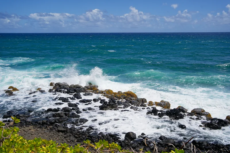 Photo from 2024 Kauai album - Image 35