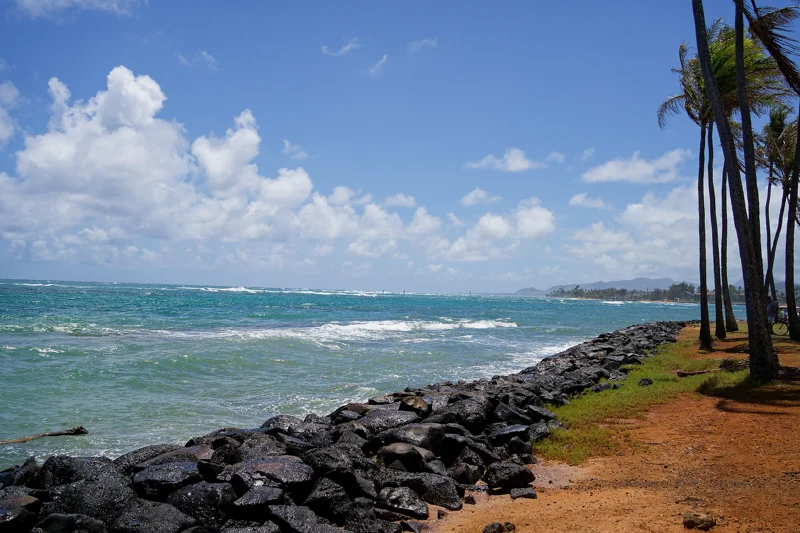 Photo from 2024 Kauai album - Image 37