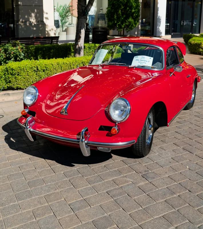 Photo from 2025 Boise Fall album - Image 4