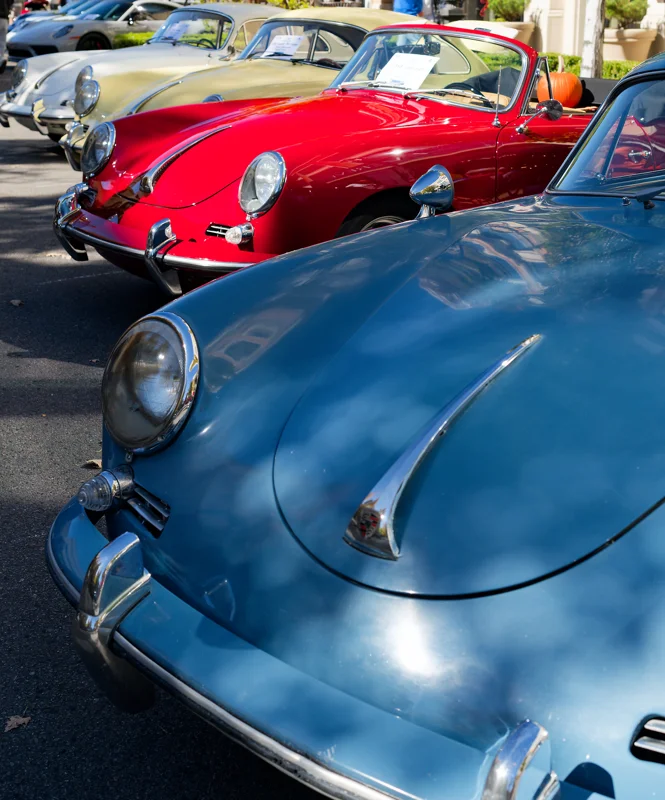 Photo from 2025 Boise Fall album - Image 7