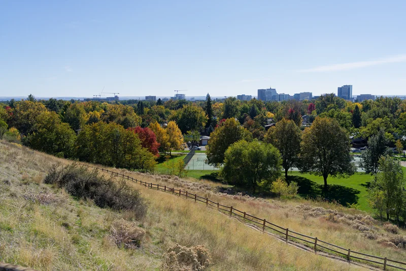 Photo from 2025 Boise Fall album - Image 11
