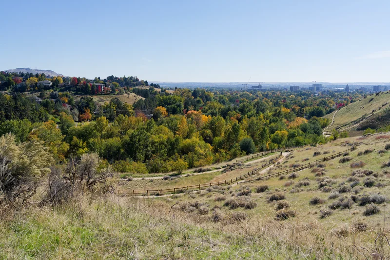 Photo from 2025 Boise Fall album - Image 15