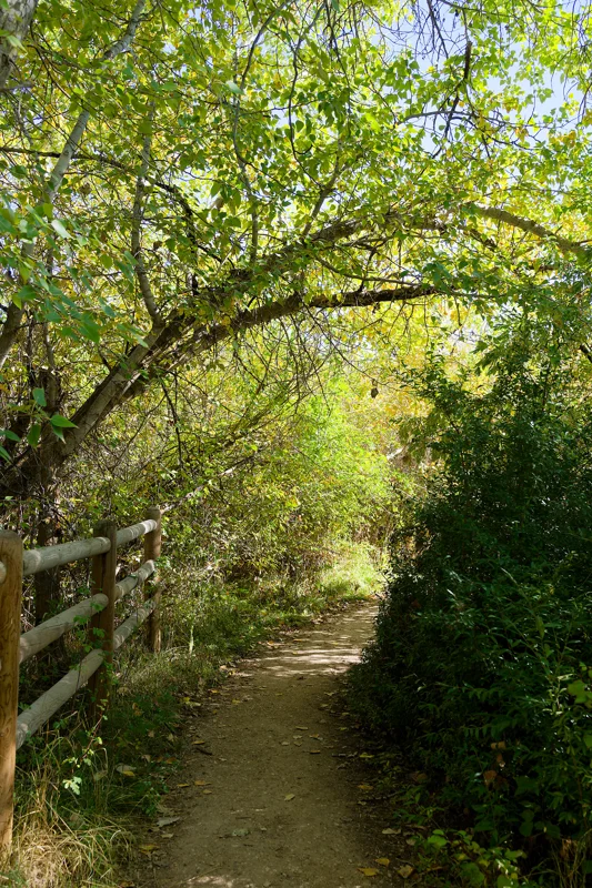 Photo from 2025 Boise Fall album - Image 19