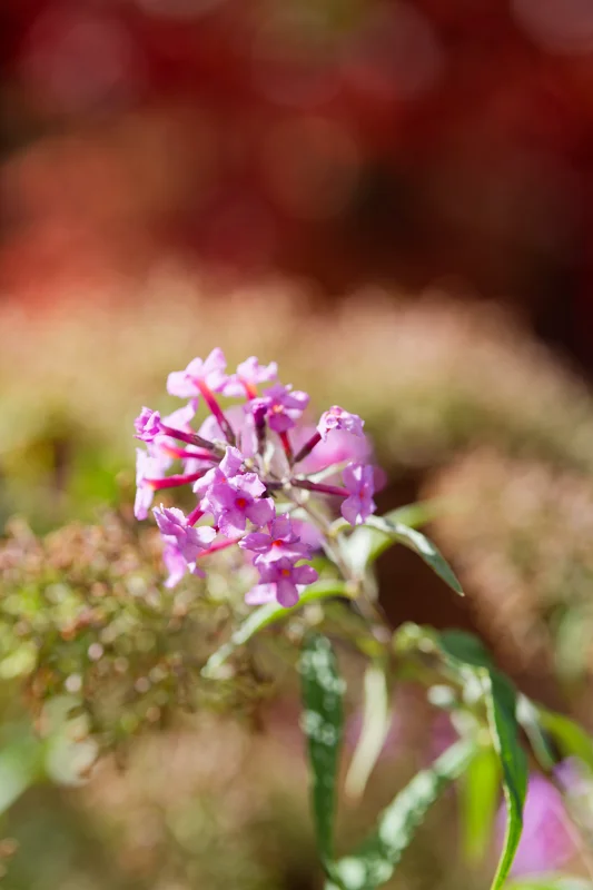 Photo from 2025 Boise Fall album - Image 22