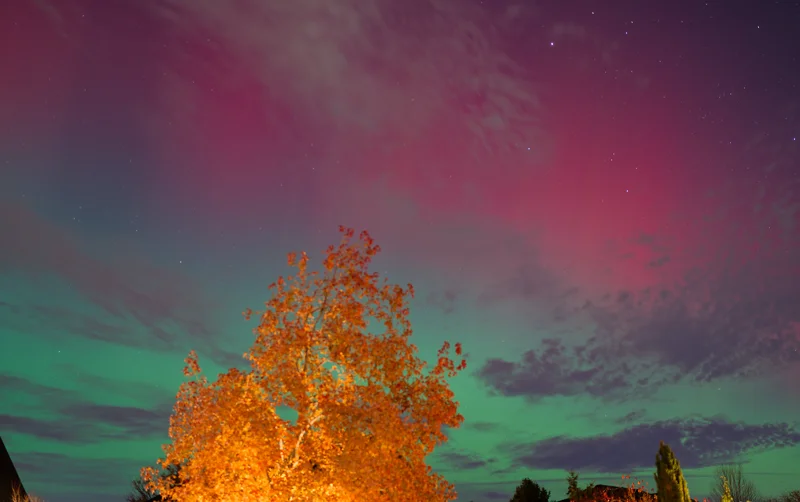 Photo from 2025 Boise Fall album - Image 27