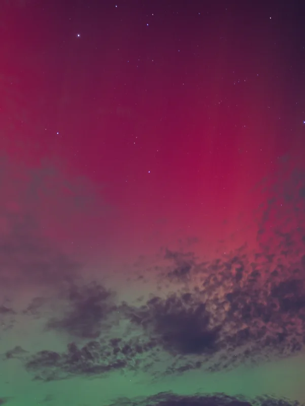 Photo from 2025 Boise Fall album - Image 28