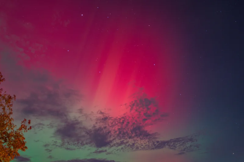 Photo from 2025 Boise Fall album - Image 29