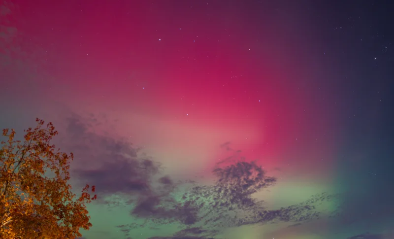 Photo from 2025 Boise Fall album - Image 30