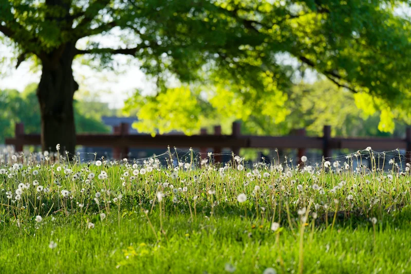 Photo from 2025 Boise Spring album - Image 2