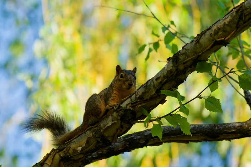 Photo from 2025 Boise Spring album - Image 4