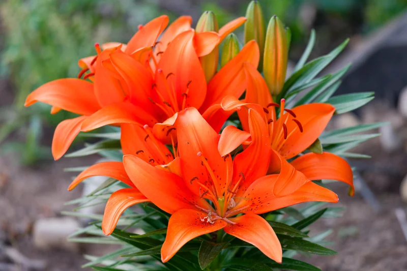 Photo from 2025 Boise Spring album - Image 7