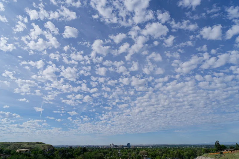 Photo from 2025 Boise Spring album - Image 9