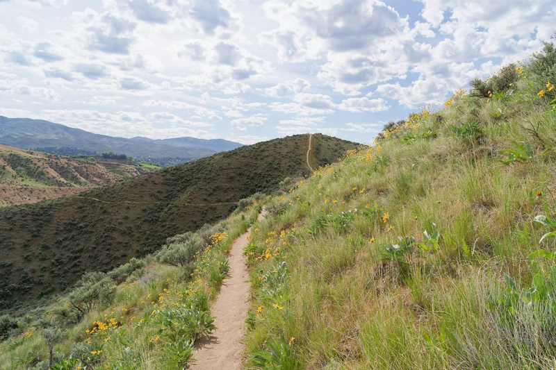 Photo from 2025 Boise Spring album - Image 13